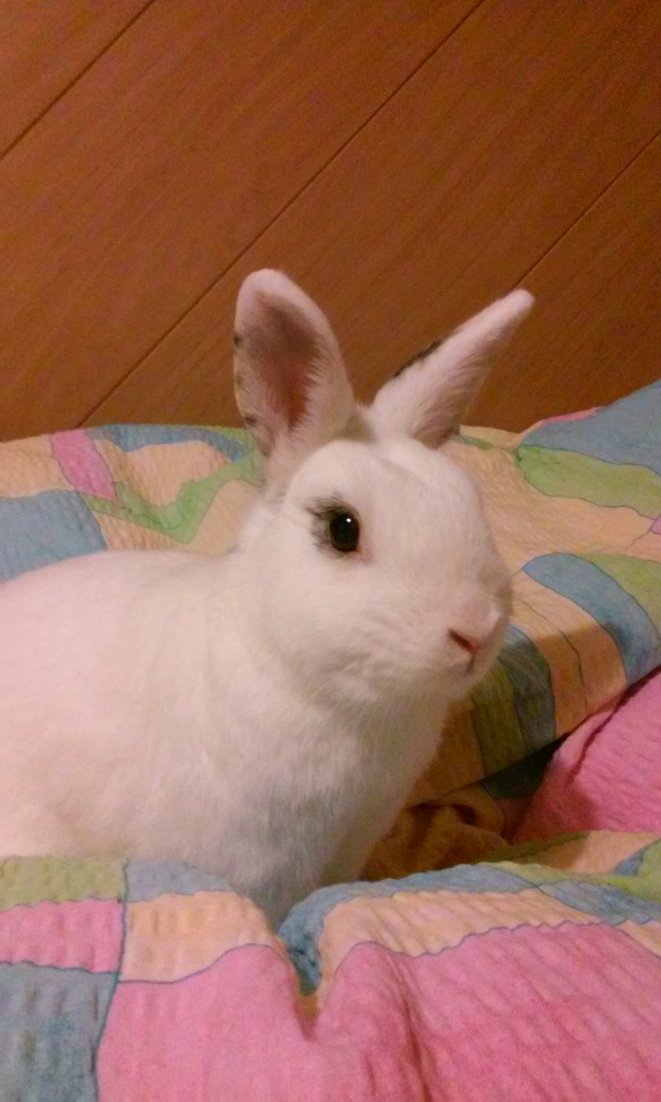 20150122_220314.jpg