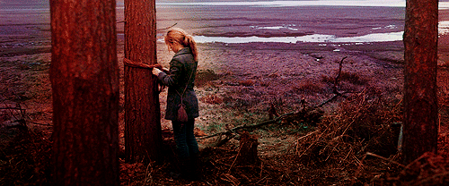 tumblr_lnixmteffc1qabn2bo1_500.gif