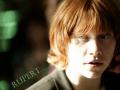 Kliknij, aby zobaczyć rupert-wallpaper-rupert-grint-120650_800_600_t1.jpg