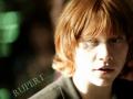 rupert-wallpaper-rupert-grint-120650_800_600_t1.jpg