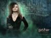 20070620_bellatrix02_t1.jpg