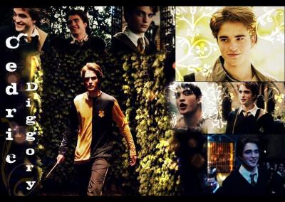cedric-cedric-diggory-4131282-1080-720.jpg