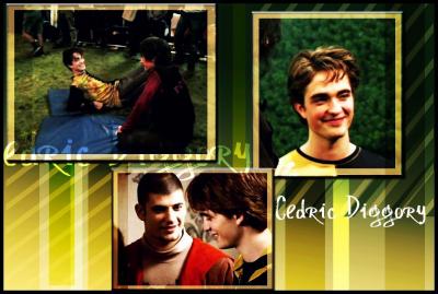 cedric-cedric-diggory-4968103-1098-738.jpg
