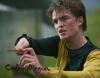 cedric-cedric-diggory-6516501-1280-1024.jpg