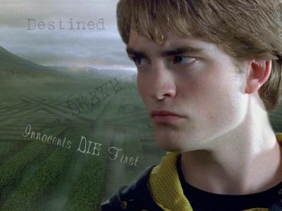 cedric-diggory-cedric-diggory-1274144-1024-768.jpg