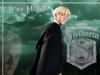 draco_t1.jpg