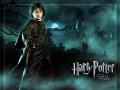 Kliknij, aby zobaczyć harry-potter_t1.jpg