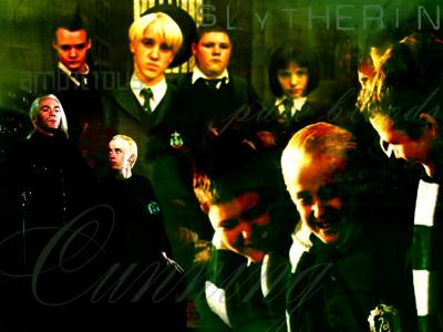 slytherin16b.jpg