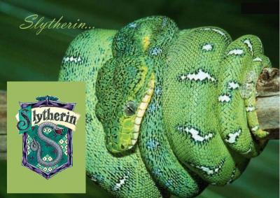slytherin.jpg