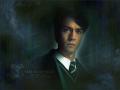 Kliknij, aby zobaczyć slytherinpl_tomriddle800_t1.jpg