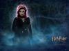 tonks_t1.jpg