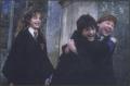 trio2_t1_1.jpg
