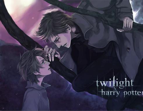 twilight_x_harrypotter_by_flayu.jpg