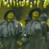 3332361760_t1.gif