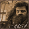 hagrid_t1.png