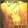 Kliknij, aby zobaczyć likefather_t1.png