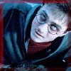 harryy_t1.gif