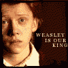 th_weasley_is_our_king_t1.gif