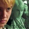 Kliknij, aby zobaczyć pureblood_t1.jpg