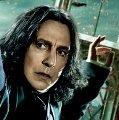 snape3_t1.jpg