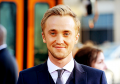 tom-tom-felton-24601631-500-350_t1.png