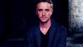 tom11_t1_1.jpg