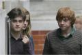 dh-behind-the-scenes-harry-potter-7441033-450-302_t1.jpg