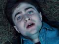 harry-pg-horizontal_t1.jpg