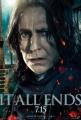 snape_t1_1.jpg