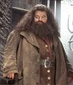 Kliknij, aby zobaczyć hagrid_t1.jpg