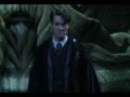 Kliknij, aby zobaczyć tomriddle_t1_1.jpg