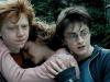 Kliknij, aby zobaczyć harry-potter-69_t1.jpeg